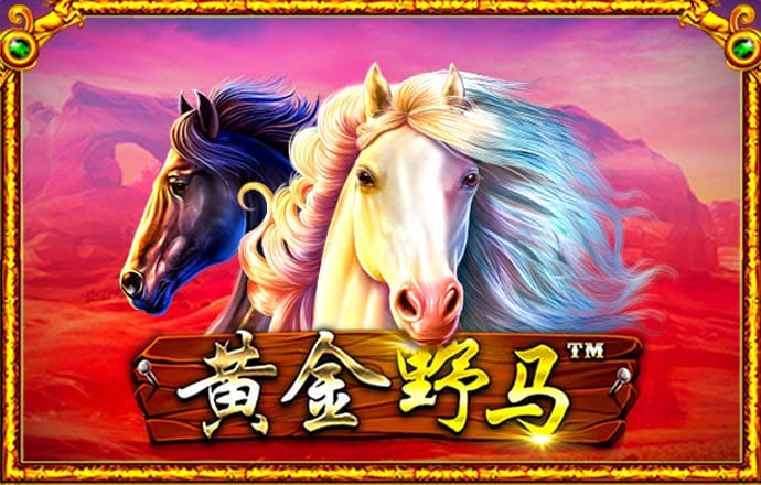 天天彩票Welcome